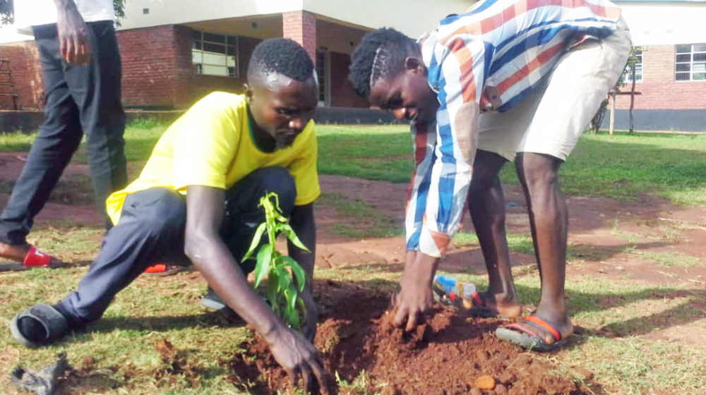 FOMO Malawi