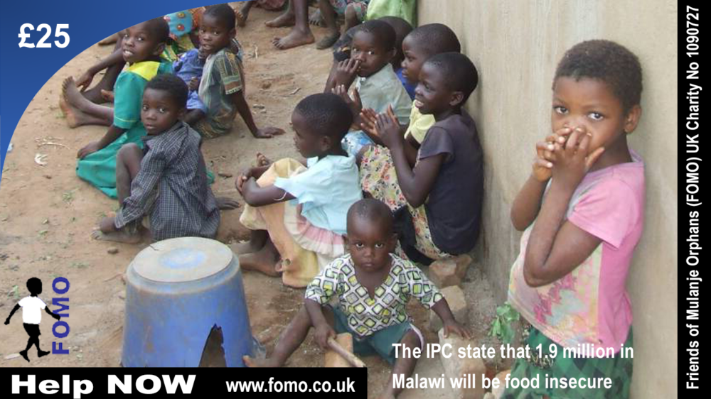 FOMO Malawi
