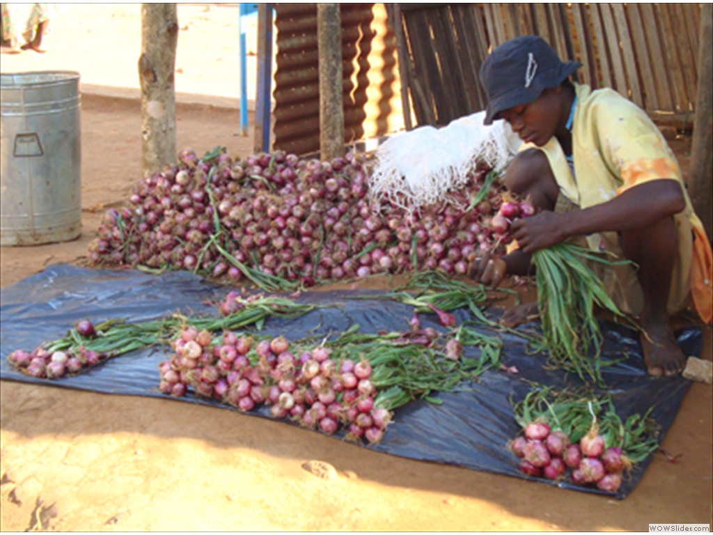 Mulanje Market1008