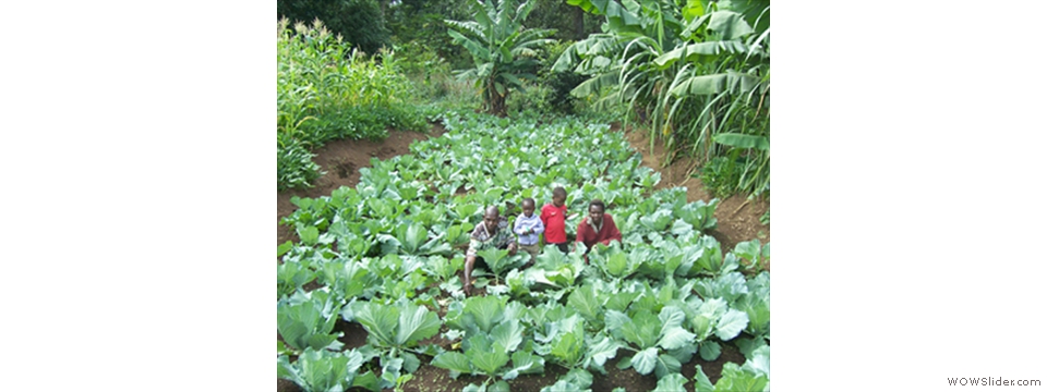 Mulanje Local Crops1003