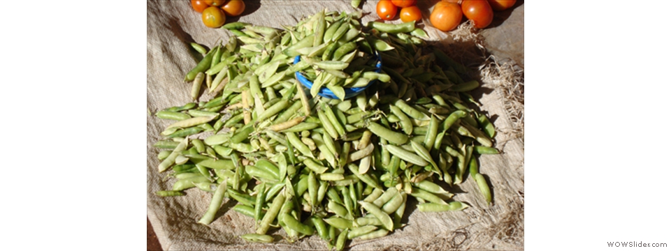 Mulanje Local Crops1018