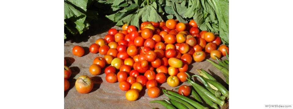 Mulanje Local Crops1019